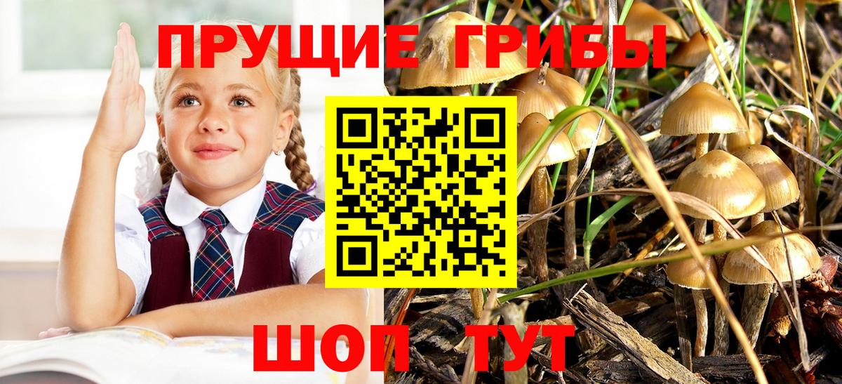 Псилоцибиновые грибы мицелий  Псилоцибиновые грибы мухоморы  Вход с VPN  Асбест 